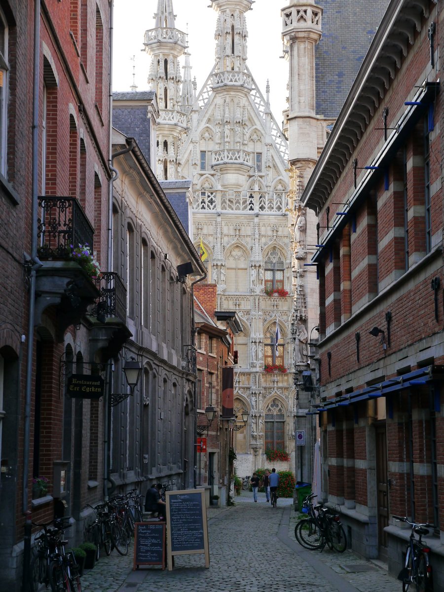 Another view of the Town Hall, Leuven.